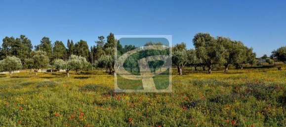 1 bedroom House in Vila Cha de Ourique, Portugal No. 78808 15