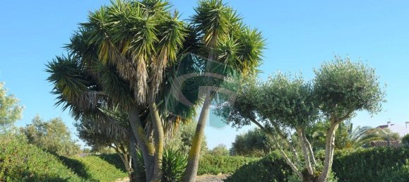 1 bedroom House in Vila Cha de Ourique, Portugal No. 78808 11