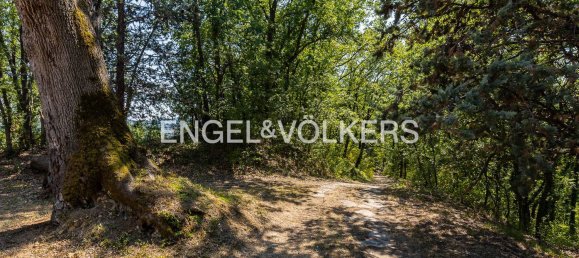 8 rooms Villa in Brisighella, Italy No. 62534 10