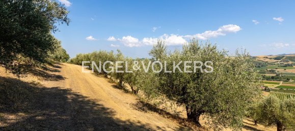 8 rooms Villa in Brisighella, Italy No. 62534 12