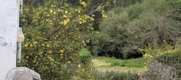 100 m² сasa en venta en Cudillero, Asturias, Principado de Asturias, Spain № 370015 3