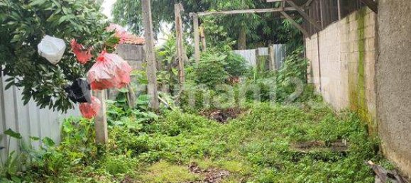 300m² Warehouse in Gunung Sindur, Indonesia No. 1441 17