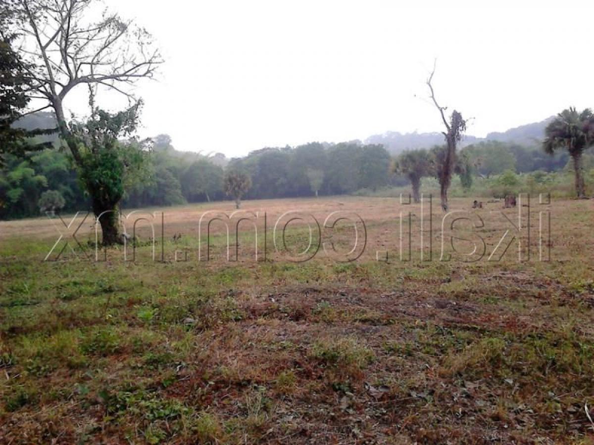 Terreno en Veracruz, Mexico No. 204751