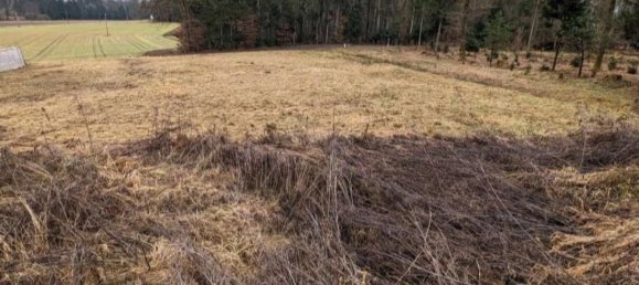  Land in Hengsberg, Austria No. 132220 6