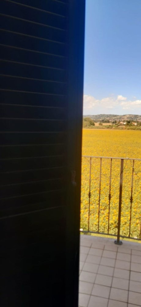 4 rooms Apartment in Sant'Elpidio a Mare, Italy No. 292940