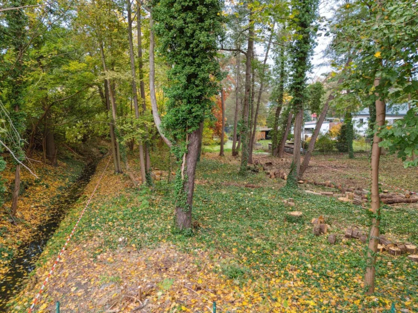  قطعة أرض في Dahme-Spreewald, Germany رقم 280641