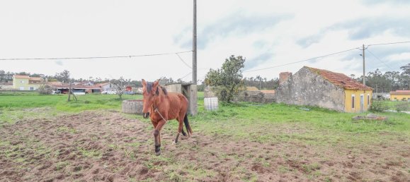 2 Schlafzimmer Haus in Ferreira a Nova, Portugal, Nr. 186032 37