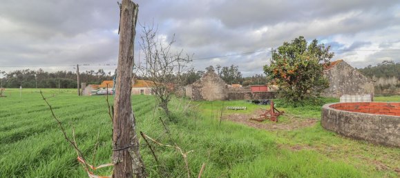 2 Schlafzimmer Haus in Ferreira a Nova, Portugal, Nr. 186032 7