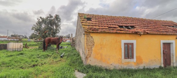2 Schlafzimmer Haus in Ferreira a Nova, Portugal, Nr. 186032 44