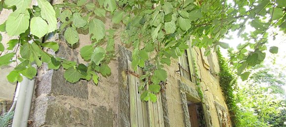 Casa de 2 habitaciónes en Senones, France No. 257332 4