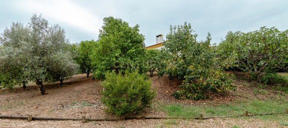 4 غرف نوم منزل في Tomar, Portugal رقم 142938 30