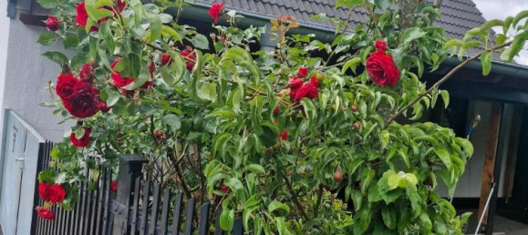 3 غرف نوم تاون هاوس في Vorpommern-Rugen, Germany رقم 314582 3