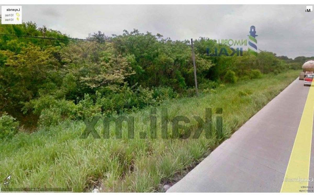  Land in Veracruz, Mexico No. 206821