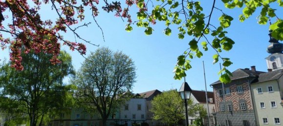 2-salle Duplex à Wels, Austria No. 222799 17