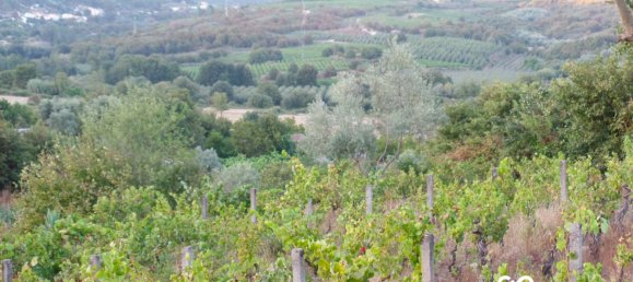  Land in Viseu, Portugal No. 68846 7