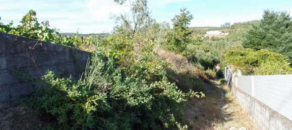  Land in Viseu, Portugal No. 68846 12