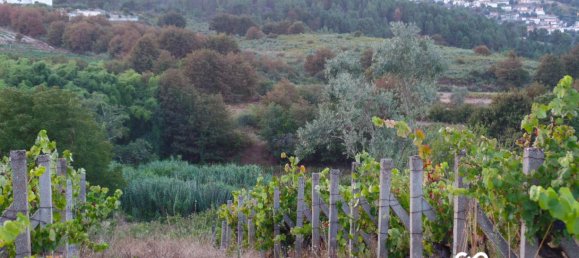  Land in Viseu, Portugal No. 68846 5