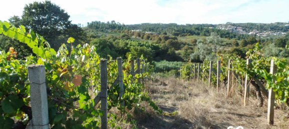  Land in Viseu, Portugal No. 68846 10