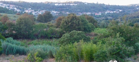  Land in Viseu, Portugal No. 68846 4