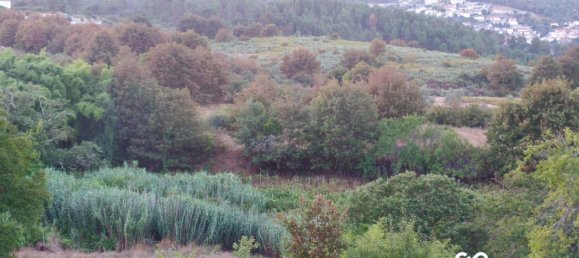  Land in Viseu, Portugal No. 68846 8