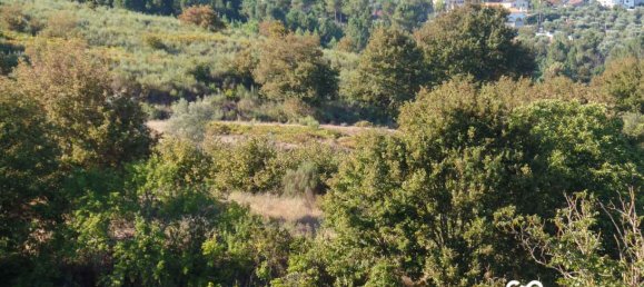  Land in Viseu, Portugal No. 68846 9