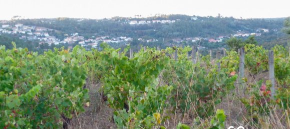  Land in Viseu, Portugal No. 68846 6