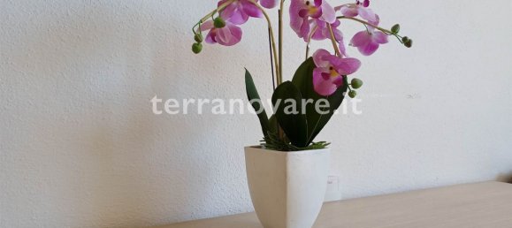 4 bedrooms Apartment in Olbia, Italy No. 339666 8