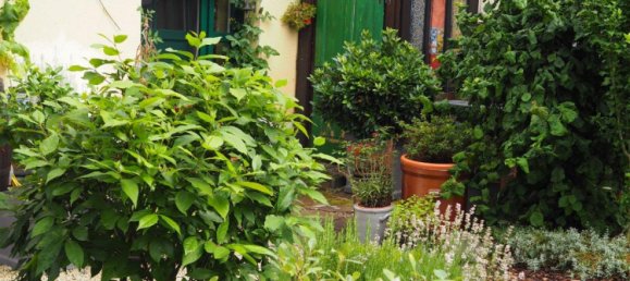 Casa de 5 habitaciónes en Merzig-Wadern, Germany No. 219134 20