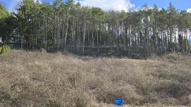 Grundstück in Walpersbach, Austria, Nr. 130661