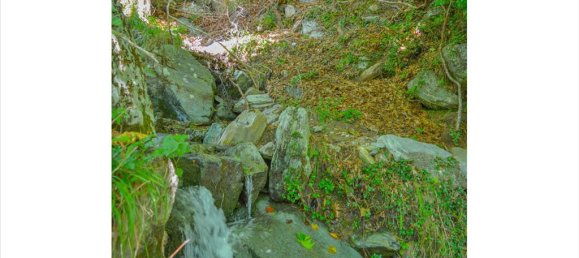 43000m² Hotel in Zagora, Greece No. 4043 4