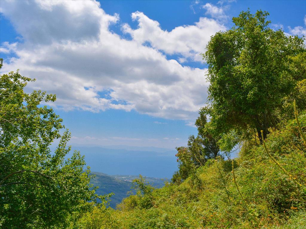  فندق في Zagora, Greece 43000متر مربع رقم 4043