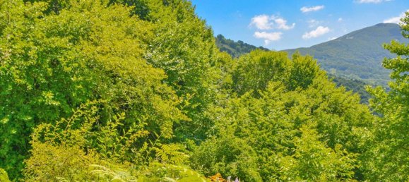 43000m² Hotel in Zagora, Greece No. 4043 2