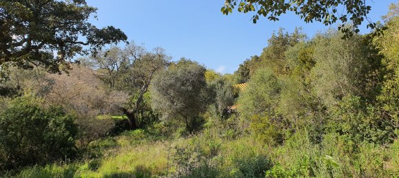 Land in Cadiz, Spain No. 26940 3