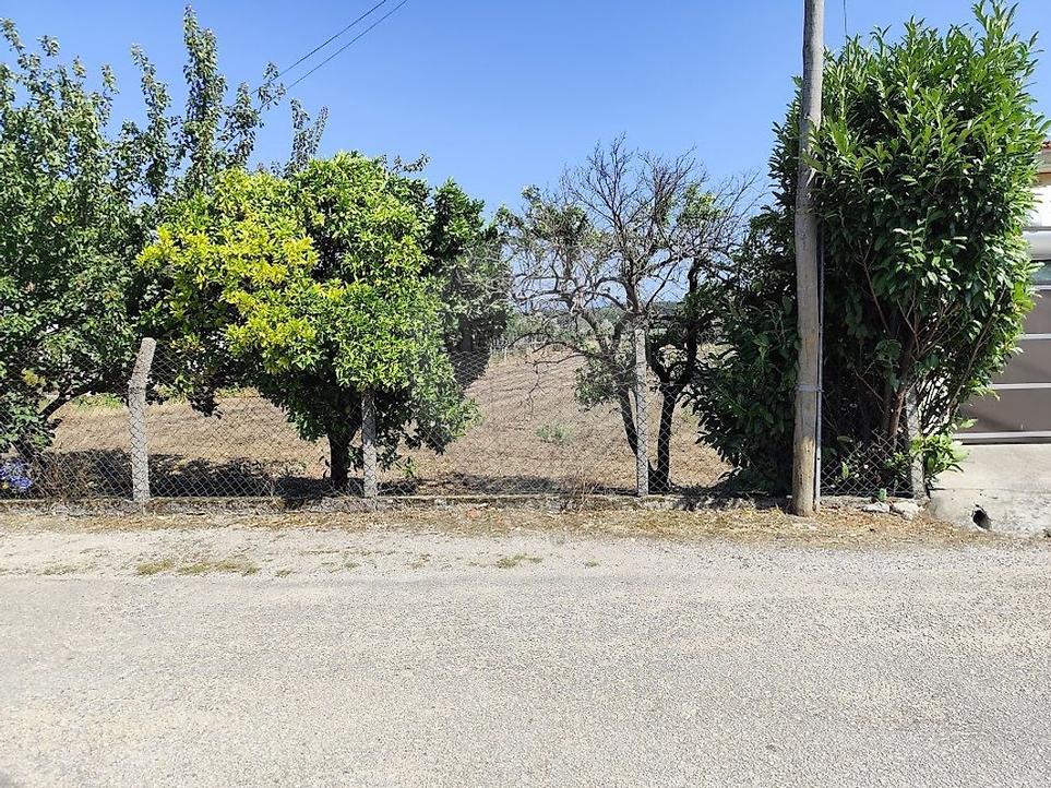 Grundstück in Oia, Portugal, Nr. 217371