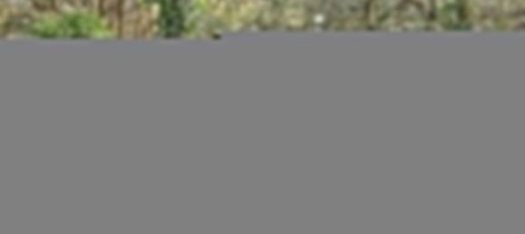 5-Zimmer Haus in Raon-l'Etape, France, Nr. 82751 8