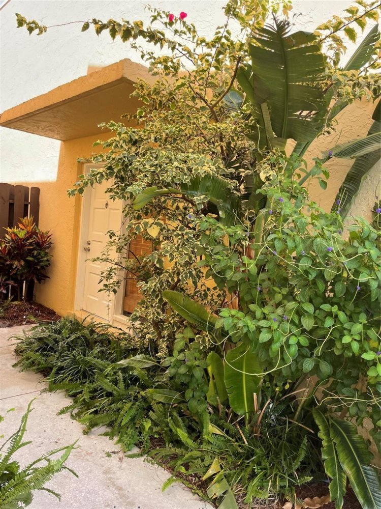 3 غرف نوم دوبلكس في Miami, الولايات المتحدة رقم 613548