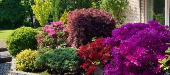 1 bedroom House in Wesel, Germany No. 191307 21