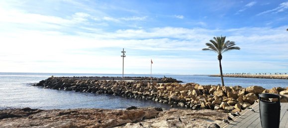 Пентхаус с 1 спальней в Торревьеха, Испания № 99403 17