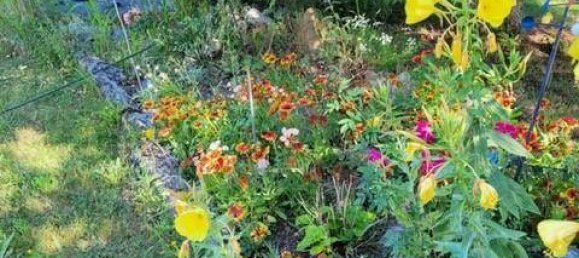 4-salle Villa à Grafenbach-St. Valentin, Austria No. 182358 21