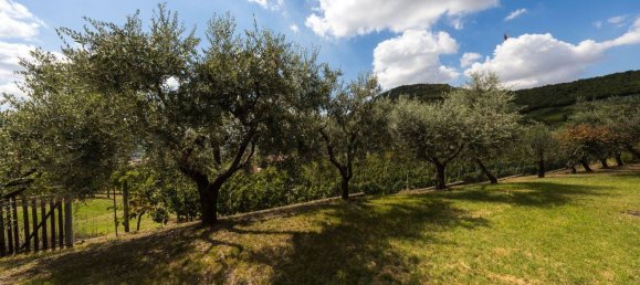 5 Schlafzimmer Villa in Cinto Euganeo, Italy, Nr. 336902 27