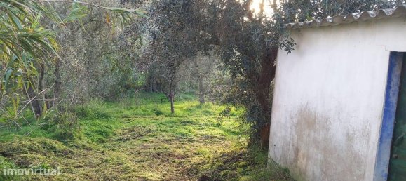 3 Schlafzimmer Haus in Odemira, Portugal, Nr. 180915 4