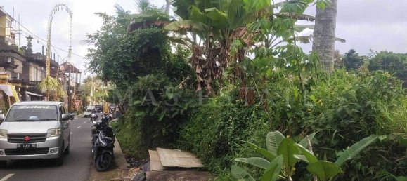  Land in Payangan, Indonesia No. 33 4