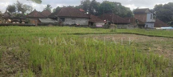  Land in Payangan, Indonesia No. 33 6