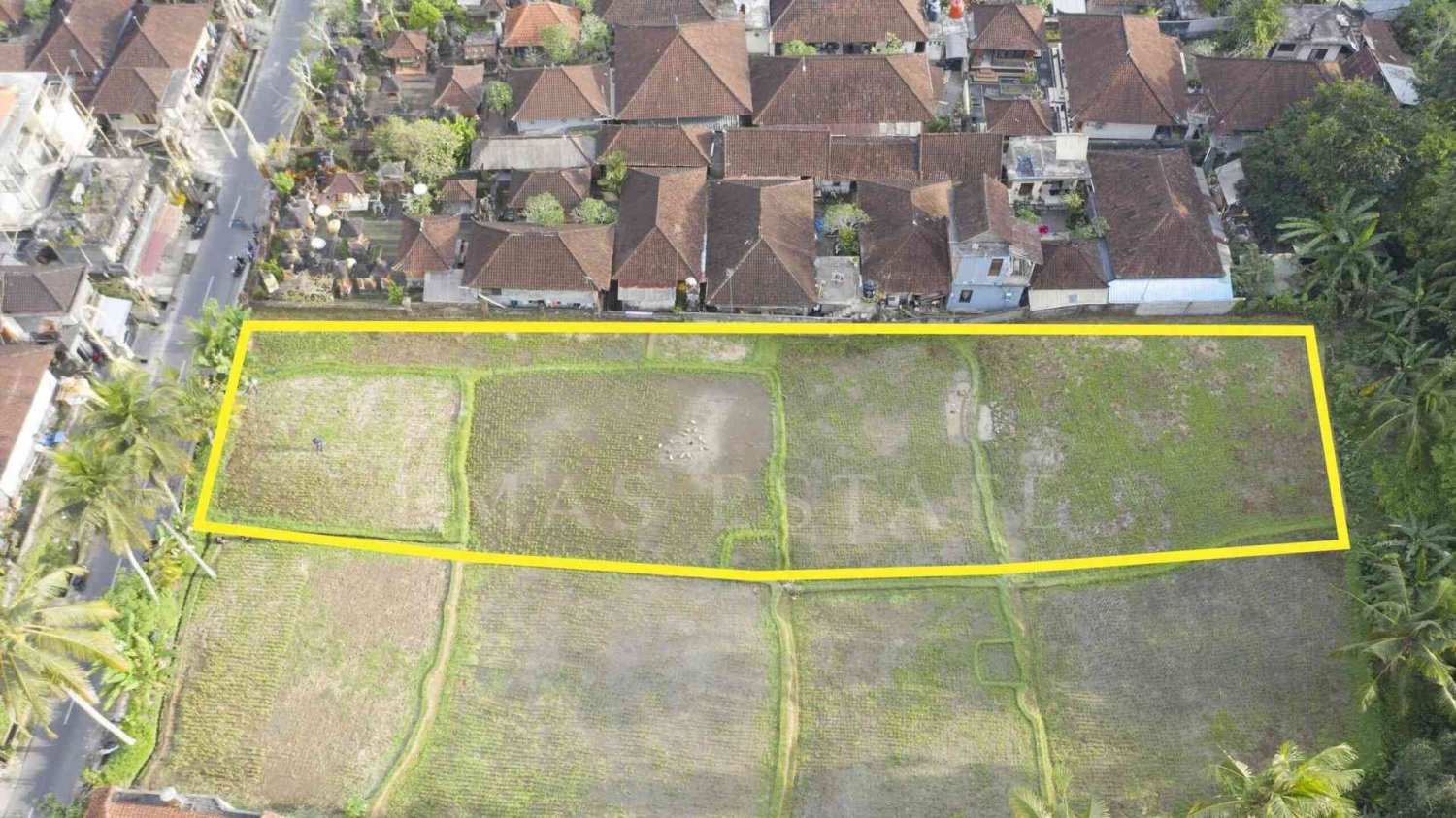  Land in Payangan, Indonesia No. 33