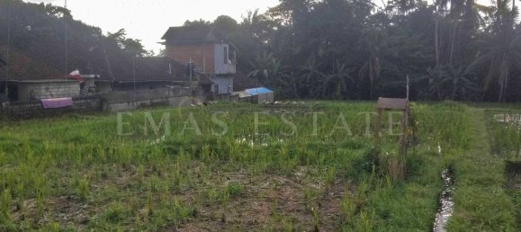  Land in Payangan, Indonesia No. 33 9