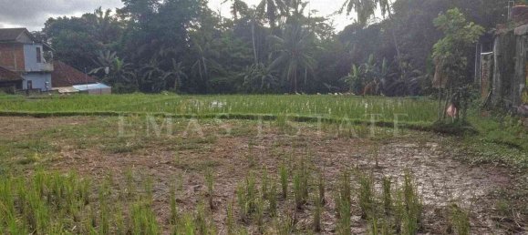  Land in Payangan, Indonesia No. 33 3