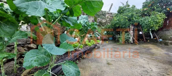 2 bedrooms House in Penso, Portugal No. 67073 2