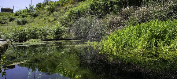 3 bedrooms House in Baiao, Portugal No. 29378 19