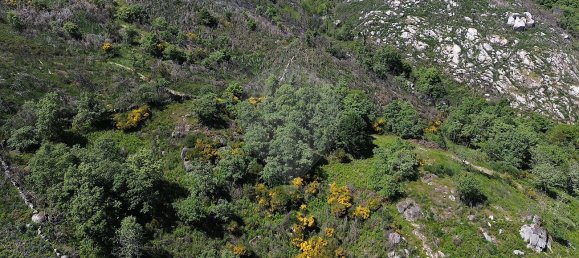 3 bedrooms House in Baiao, Portugal No. 29378 23