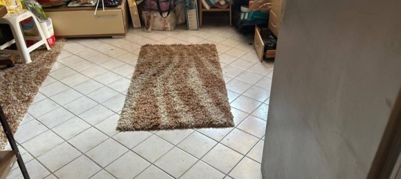 5-Zimmer Haus in Enns, Austria, Nr. 214938 25